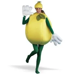 Lemon Costume Adult