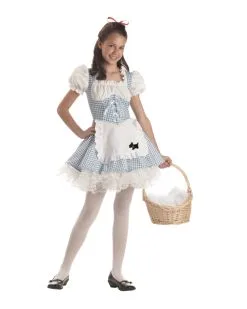 Storybook Sweetheart Costume For Tween
