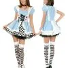 Fairy Tale Alice Adult Costume