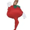 Apple Adult And Child Costume